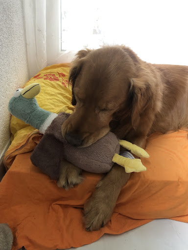 Photo from customer review